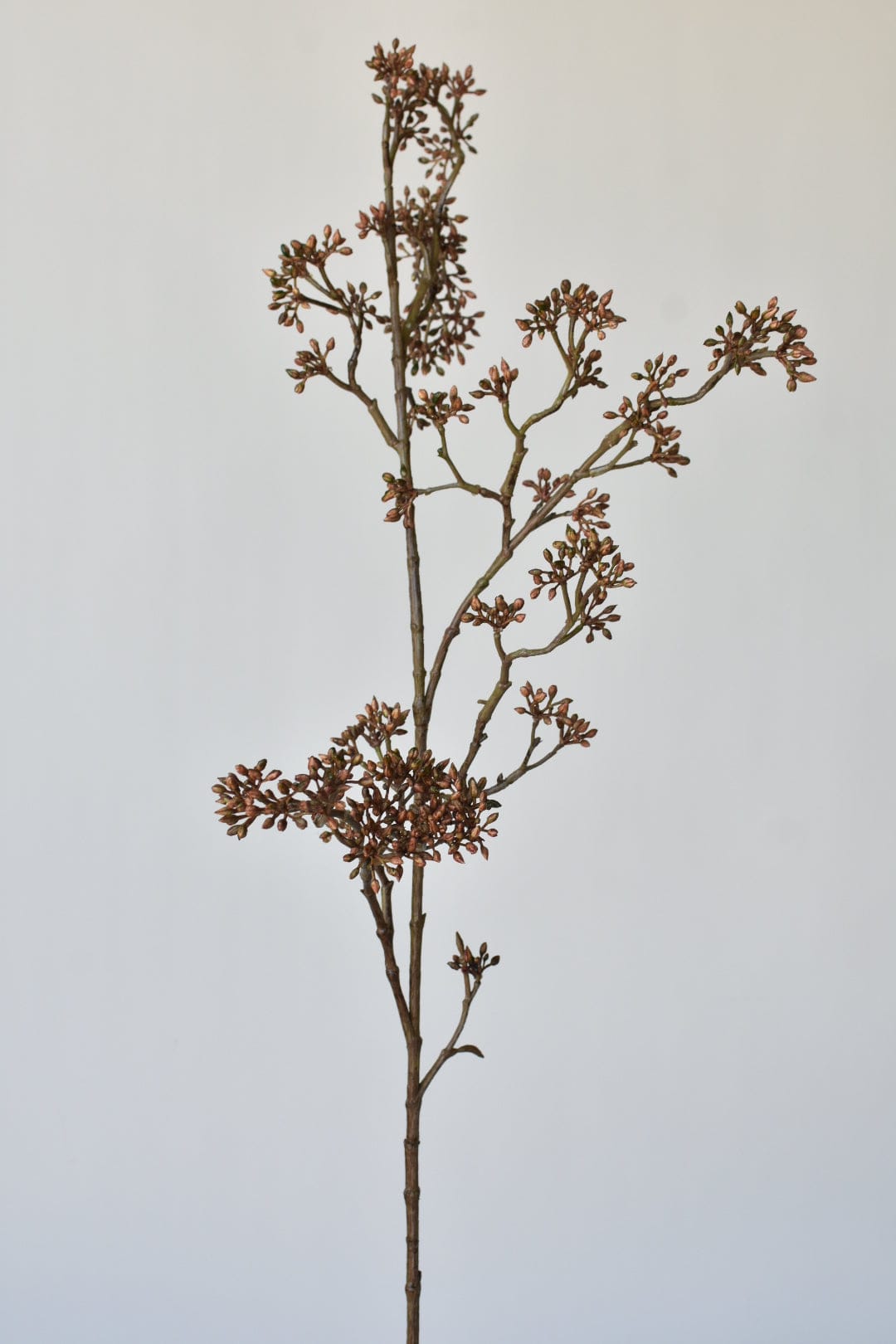 38" Faux Brown Sedum Berry Branch (Online exclusive)