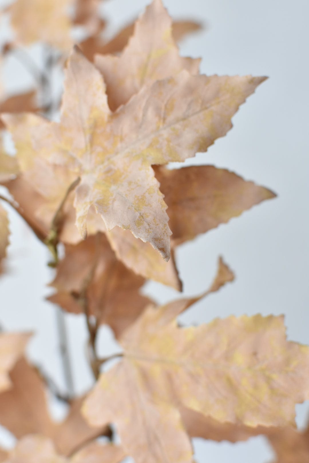 34" Faux Tan Maple Leaf Bundle (includes 2 Stems) (Online Exclusive)