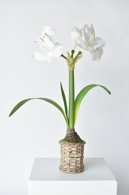 20.5" Faux White Amaryllis in Woven Pot (Online Exclusive)
