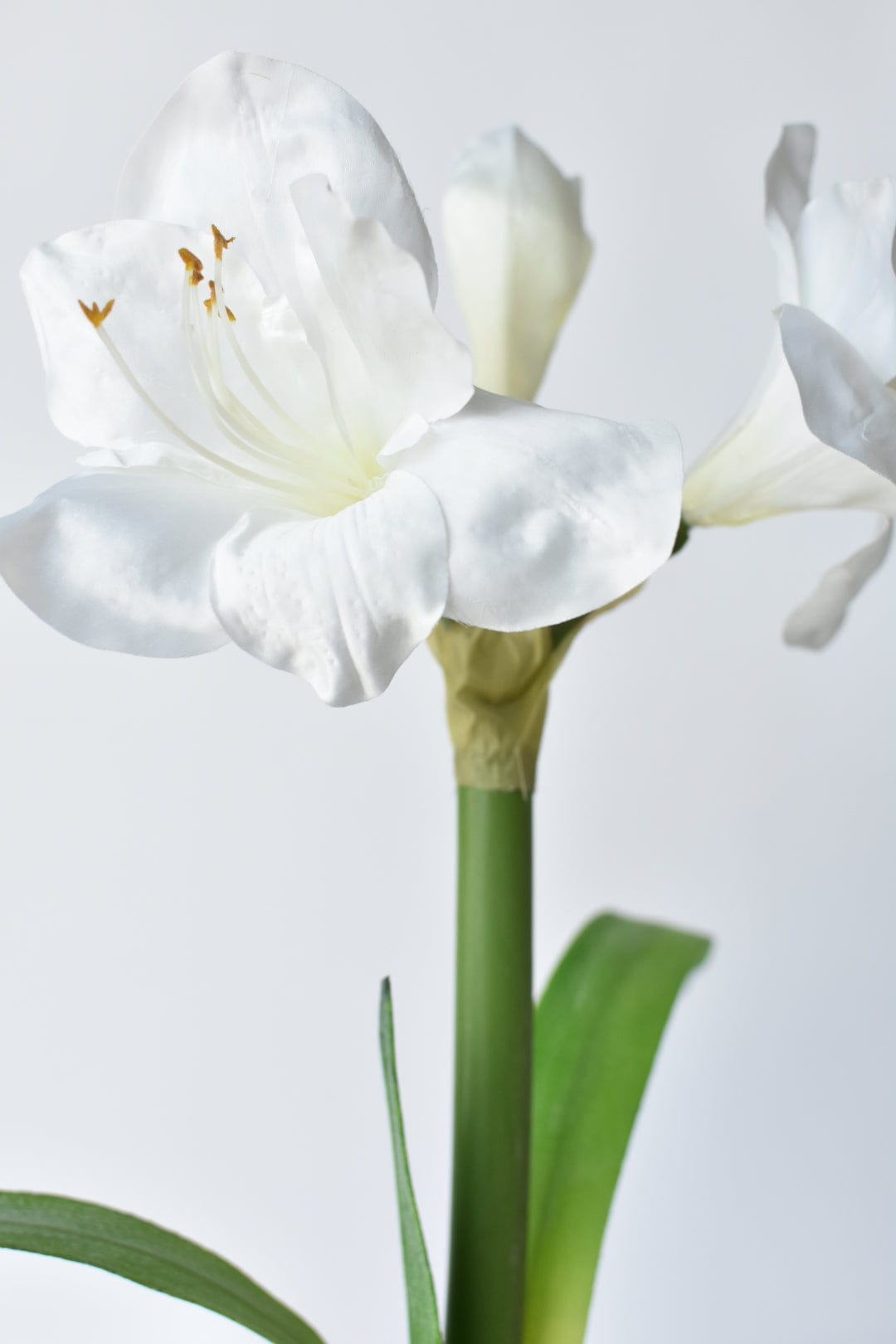 20.5" Faux White Amaryllis in Woven Pot (Online Exclusive)