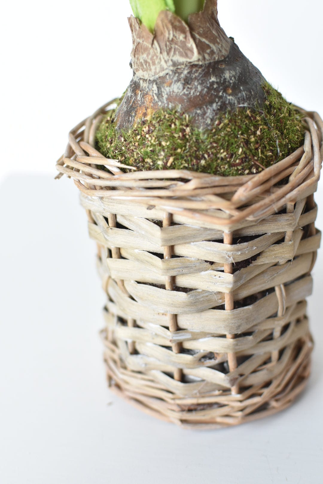 20.5" Faux White Amaryllis in Woven Pot (Online Exclusive)