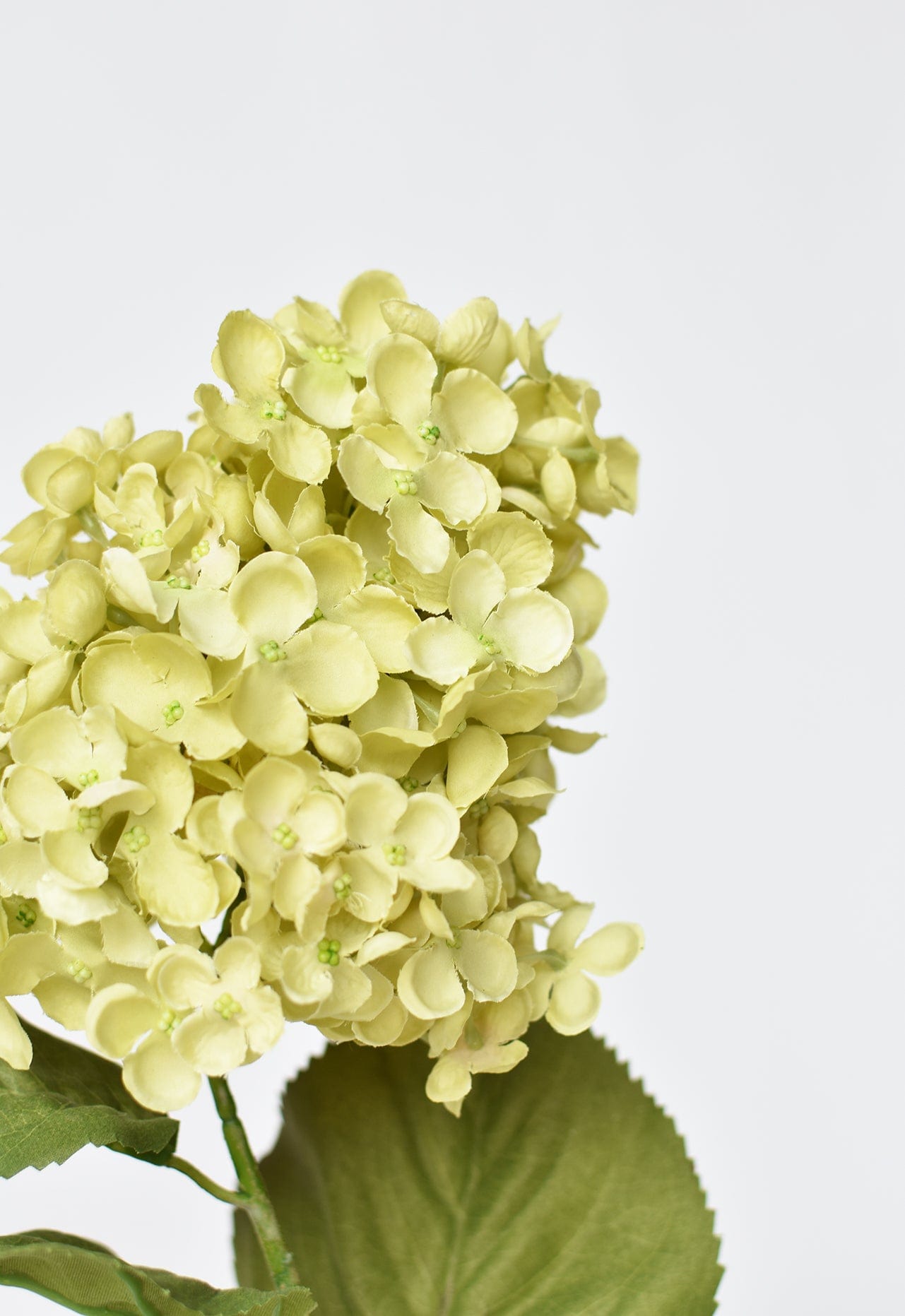 28" Faux Cone Hydrangea Stem Green (online exclusive)
