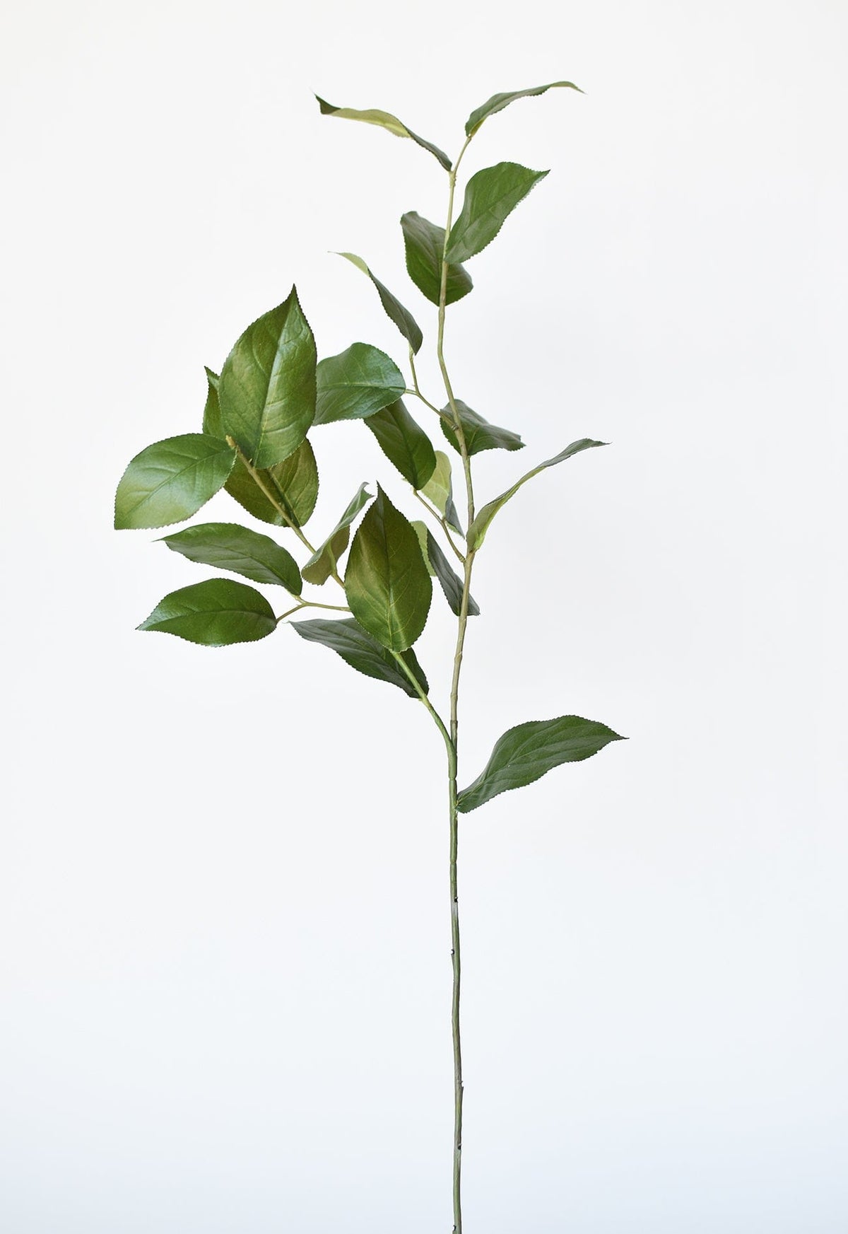 36" Faux Lemon Leaf Branch Stem (Online exclusive)