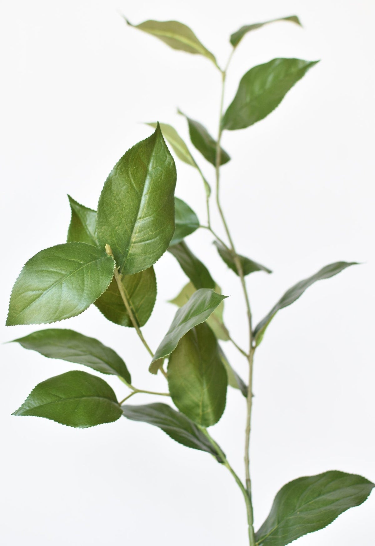 36" Faux Lemon Leaf Branch Stem (Online exclusive)