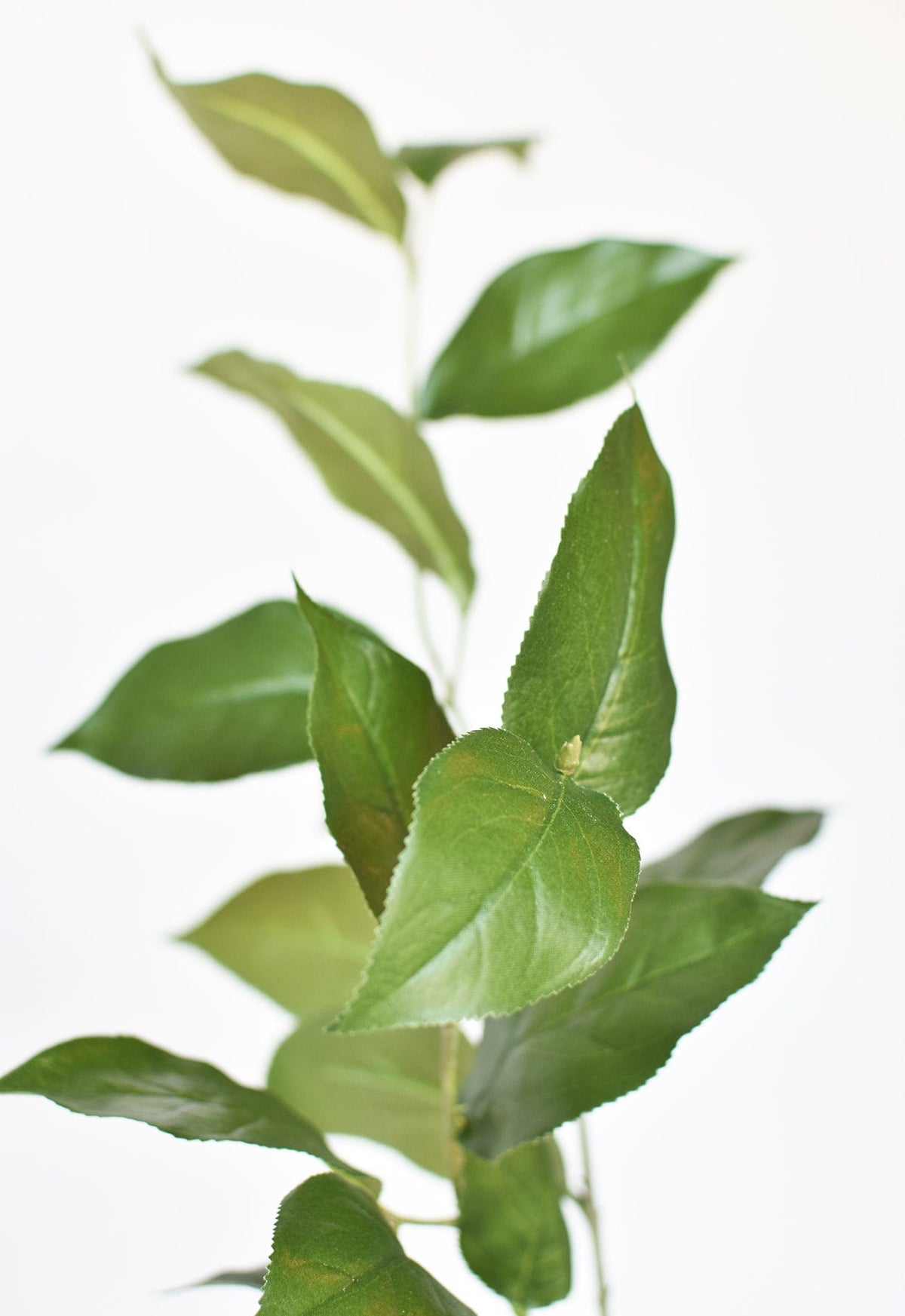36" Faux Lemon Leaf Branch Stem (Online exclusive)