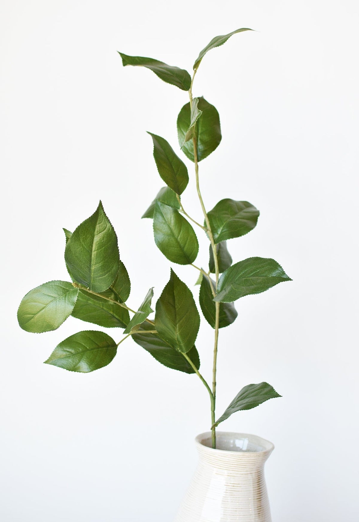 36" Faux Lemon Leaf Branch Stem (Online exclusive)