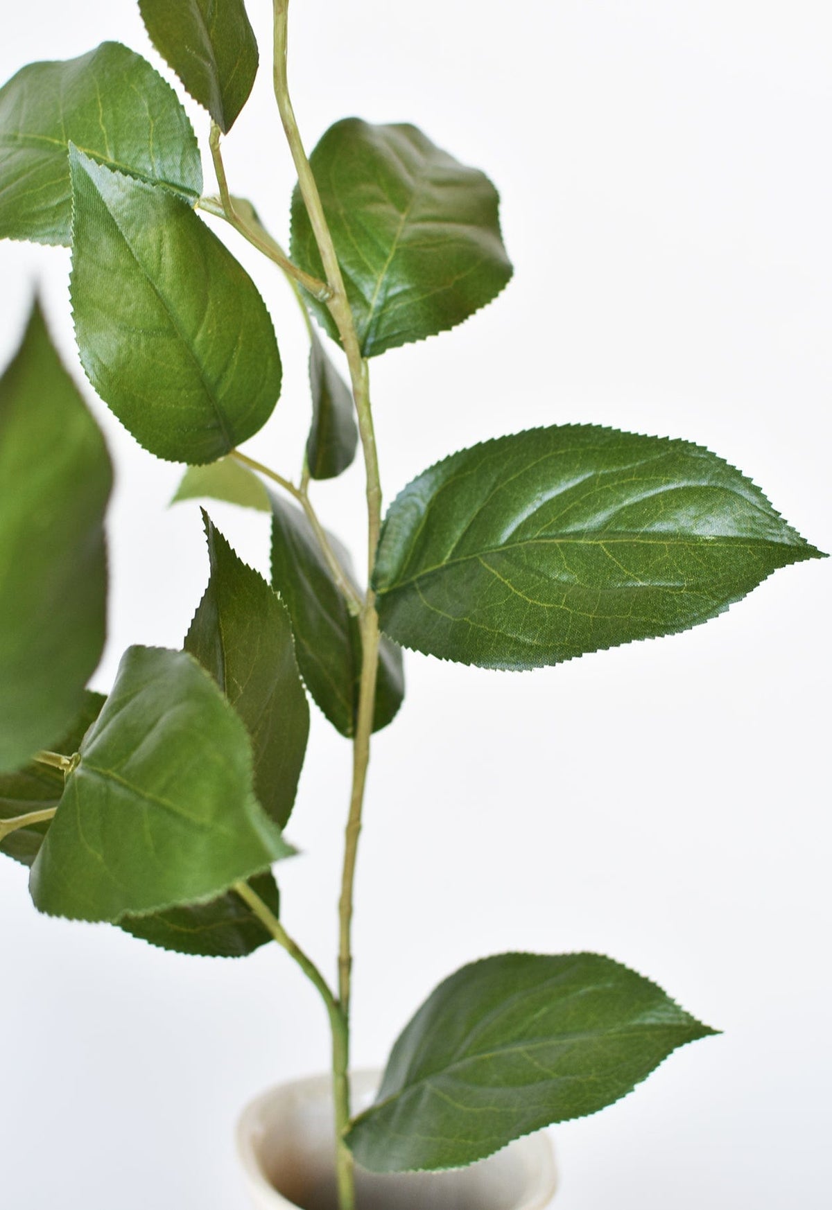 36" Faux Lemon Leaf Branch Stem (Online exclusive)