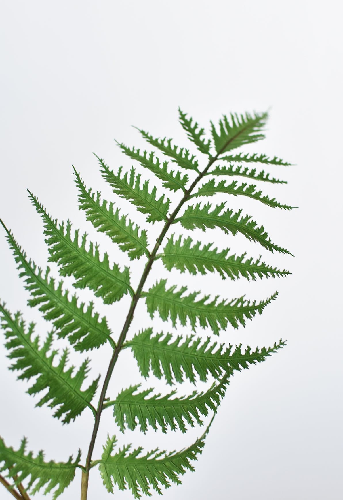 33" Faux Forest Fern Spray (Online exclusive)