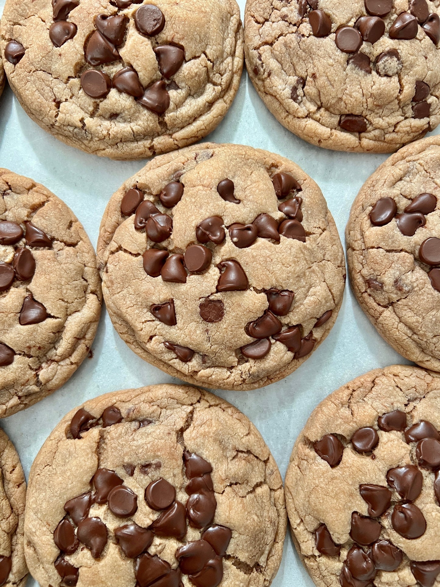 OG Chocolate Chip (Online Exclusive)