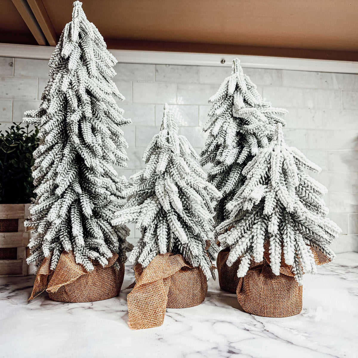 Snow Trees (Online Exclusive)