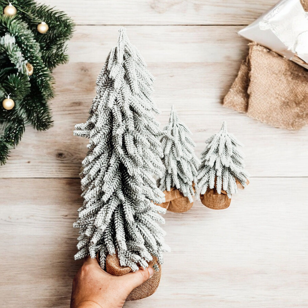 Snow Trees (Online Exclusive)