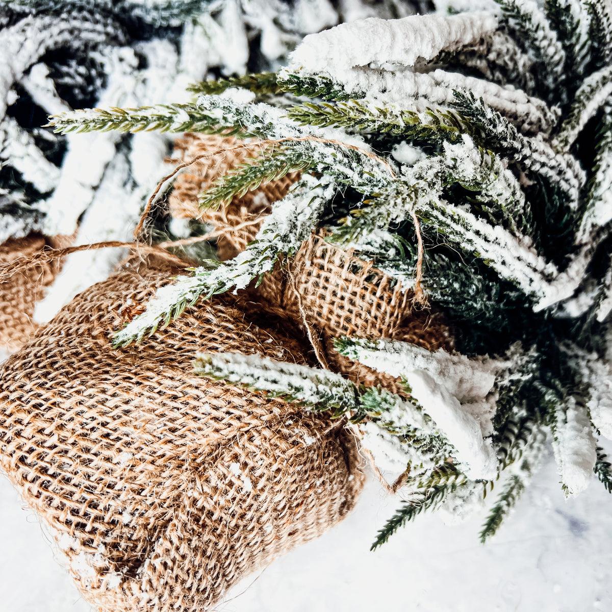 Snow Covered Trees OG (Online Exclusive)