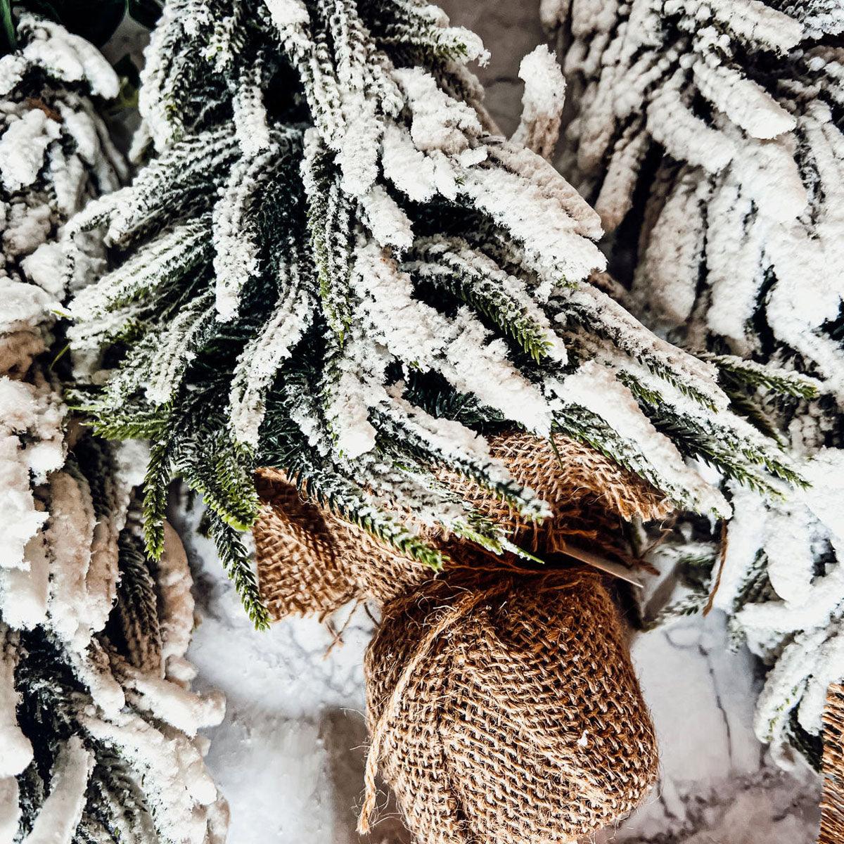 Snow Trees (Online Exclusive)