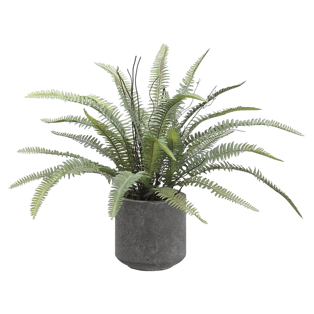 Sword Fern Silk Plant w/Cement Pot