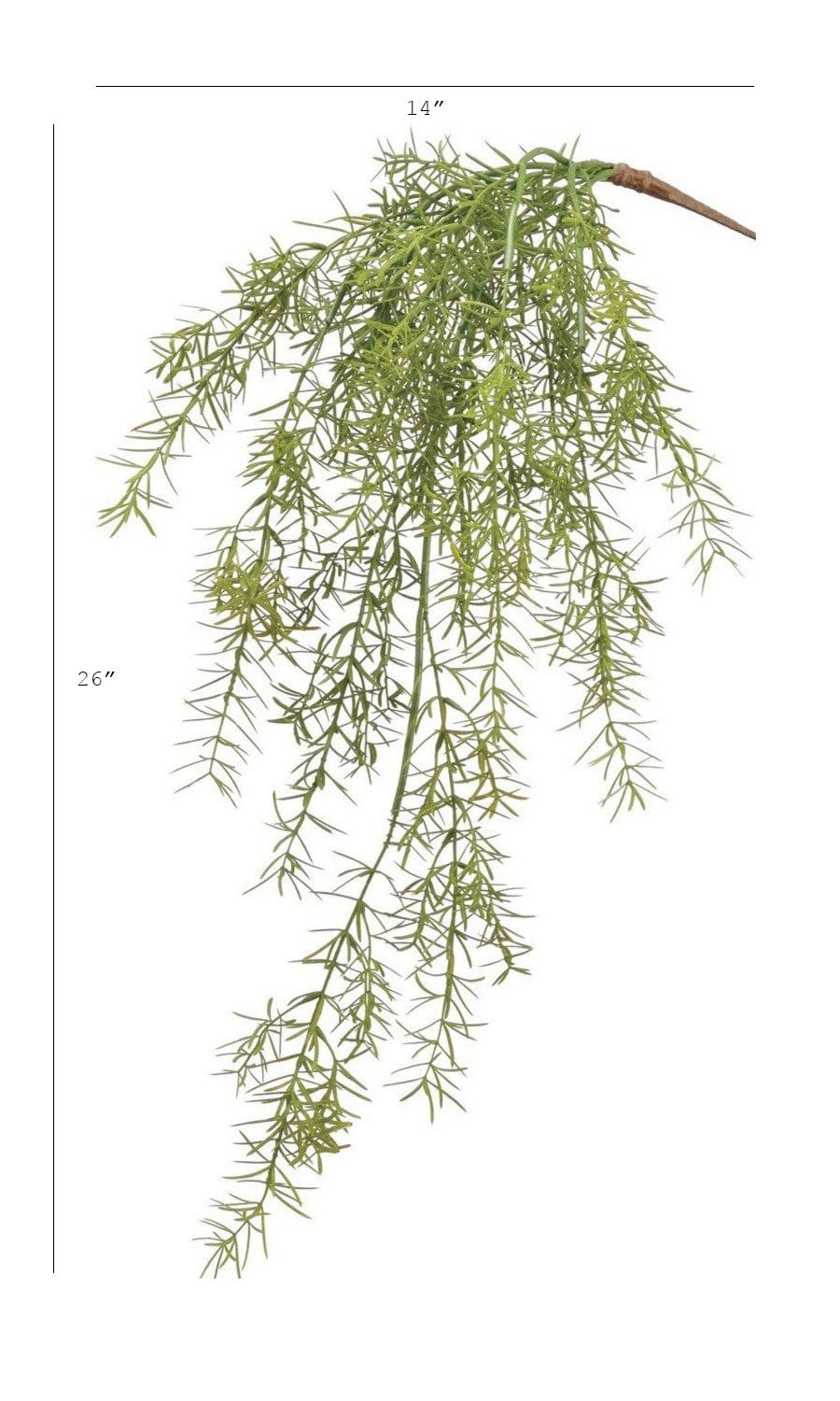 26" Faux Soft Asparagus Fern Sprengeri Bush (Online exclusive)