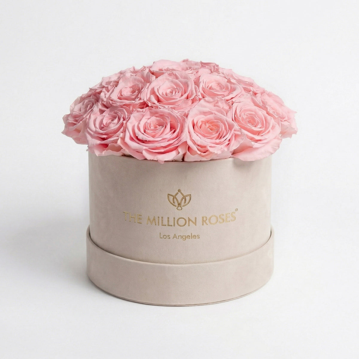Classic Beige Suede Dome Box | Light Pink Roses (Online Exclusive)