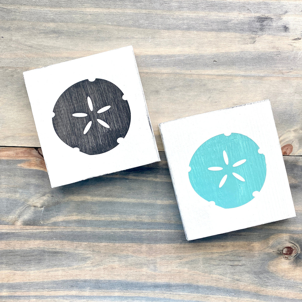 Sand Dollar Sign, 6 x 5.5 in (Online Exclusive)