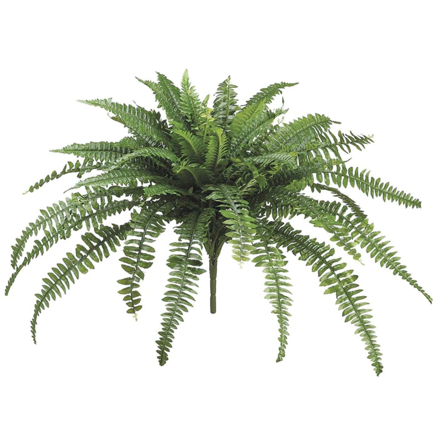 28" Large Faux Boston Fern Bush (Online Exclusive)