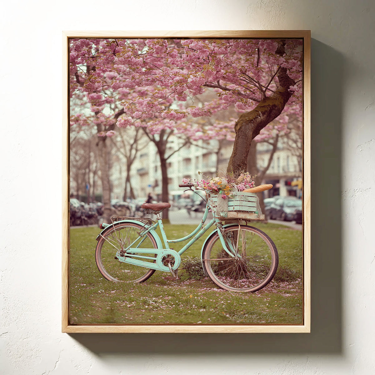 Bicycle Beneath Blossoming Canopy (Online Exclusive)