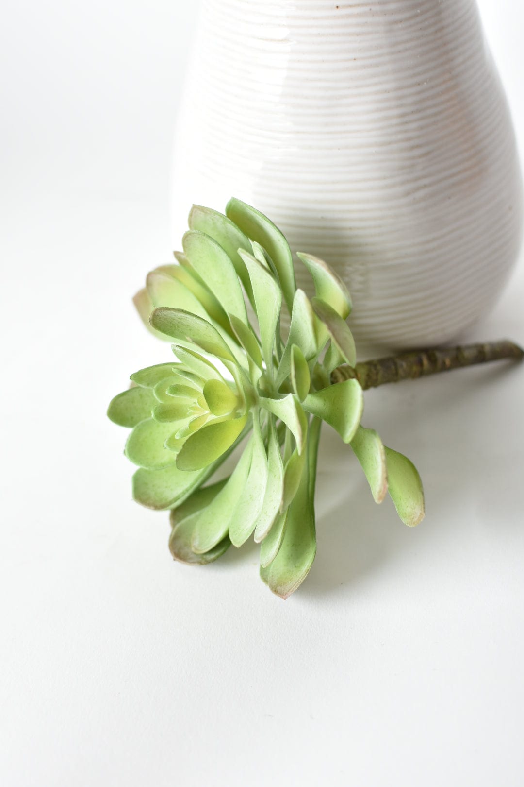 6" Faux Soft Aeonium Succulent Pick (Online exclusive)