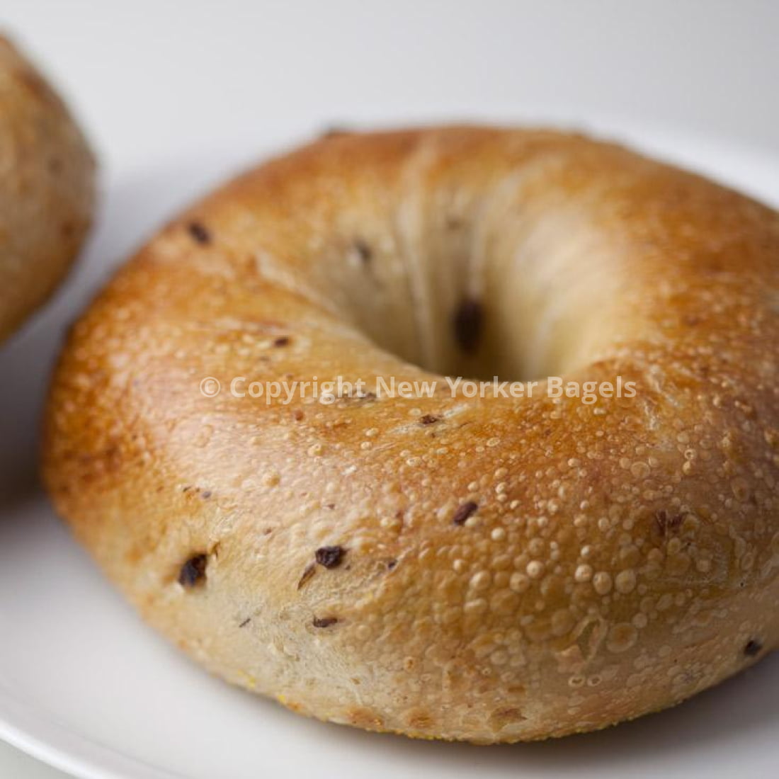 Kalamata Olive Bagels - 2 Dozen (Online Exclusive)