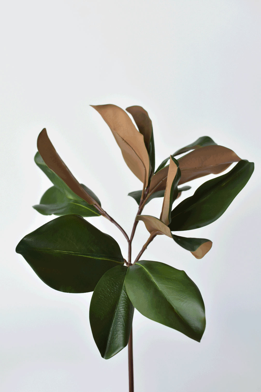 16.5" Faux Magnolia Leaf Stem (Online Exclusive)