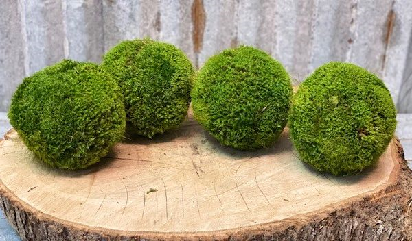 Moss Balls