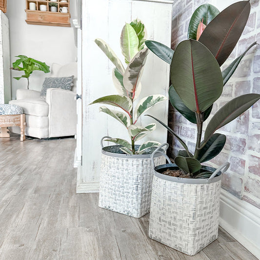 Whitewashed Woven Metal Baskets, Set of 2 (Online Exclusive)