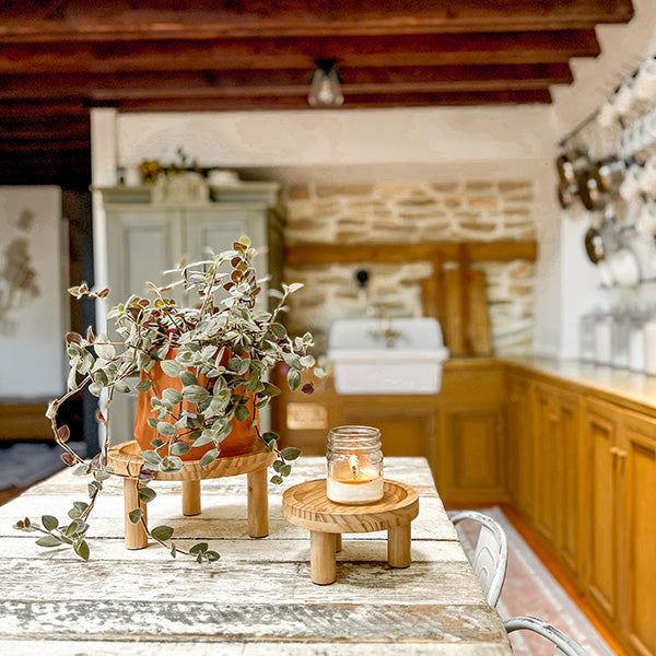 Pine Wood Risers, Set of Two (Online Exclusive)