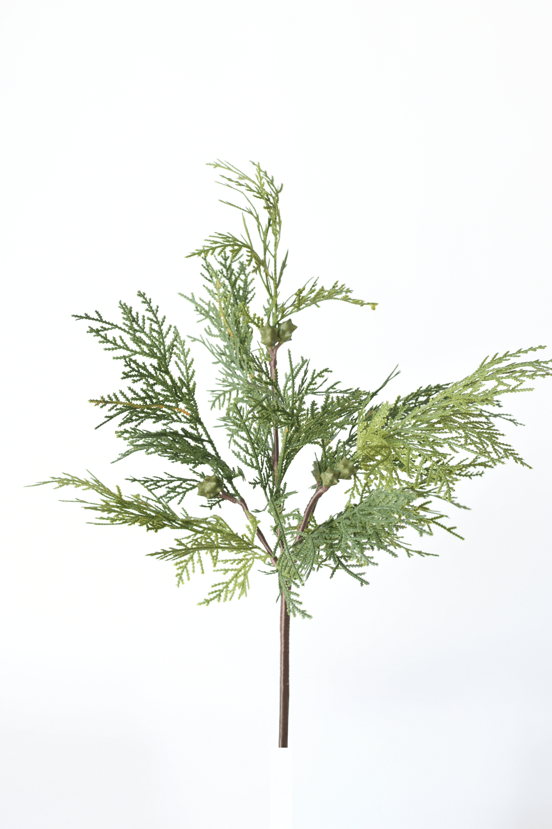 16" Faux Cedar with Pod Stem (Online Exclusive)