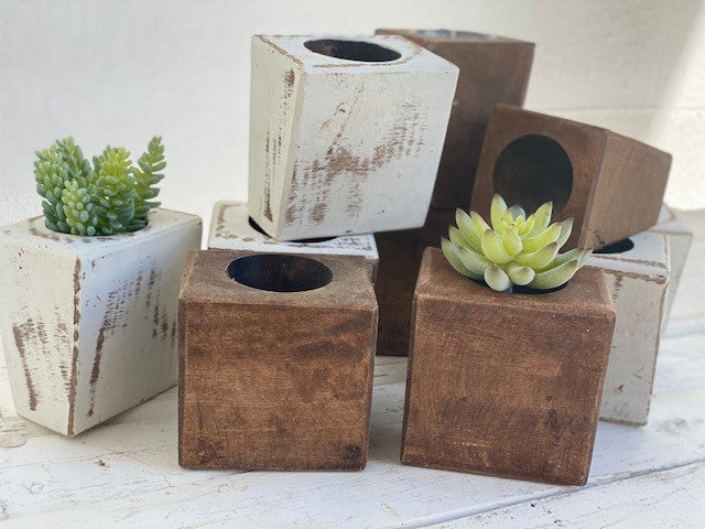 Sugar Molds