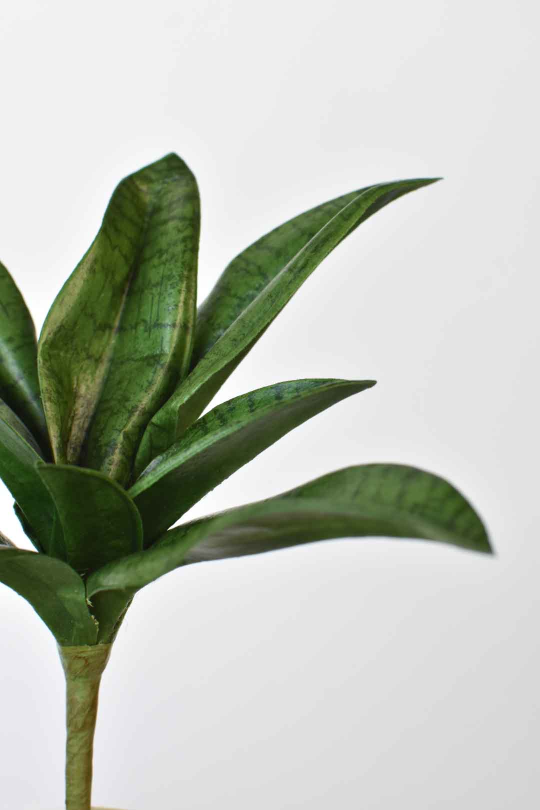 7" Faux Sanseveria Succulent Stem (Online Exclusive)