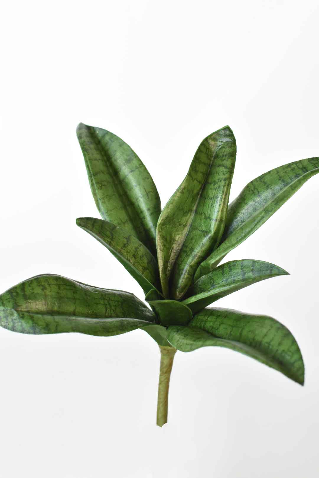 7" Faux Sanseveria Succulent Stem (Online Exclusive)