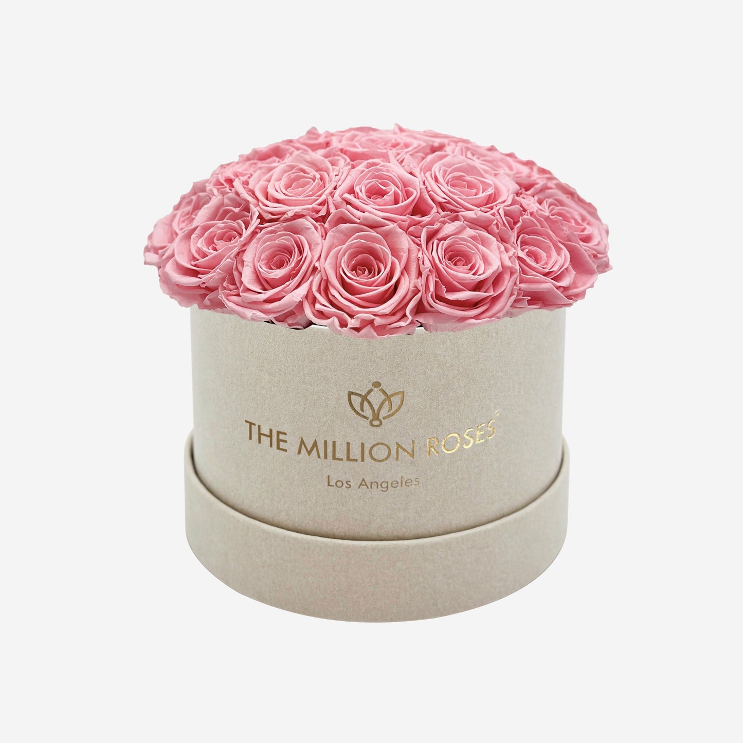 Classic Beige Suede Dome Box | Light Pink Roses (Online Exclusive)