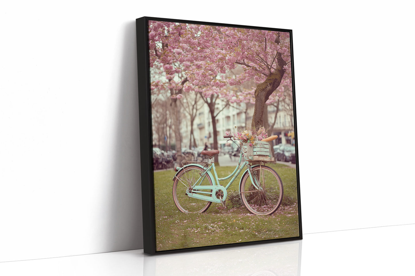Bicycle Beneath Blossoming Canopy (Online Exclusive)