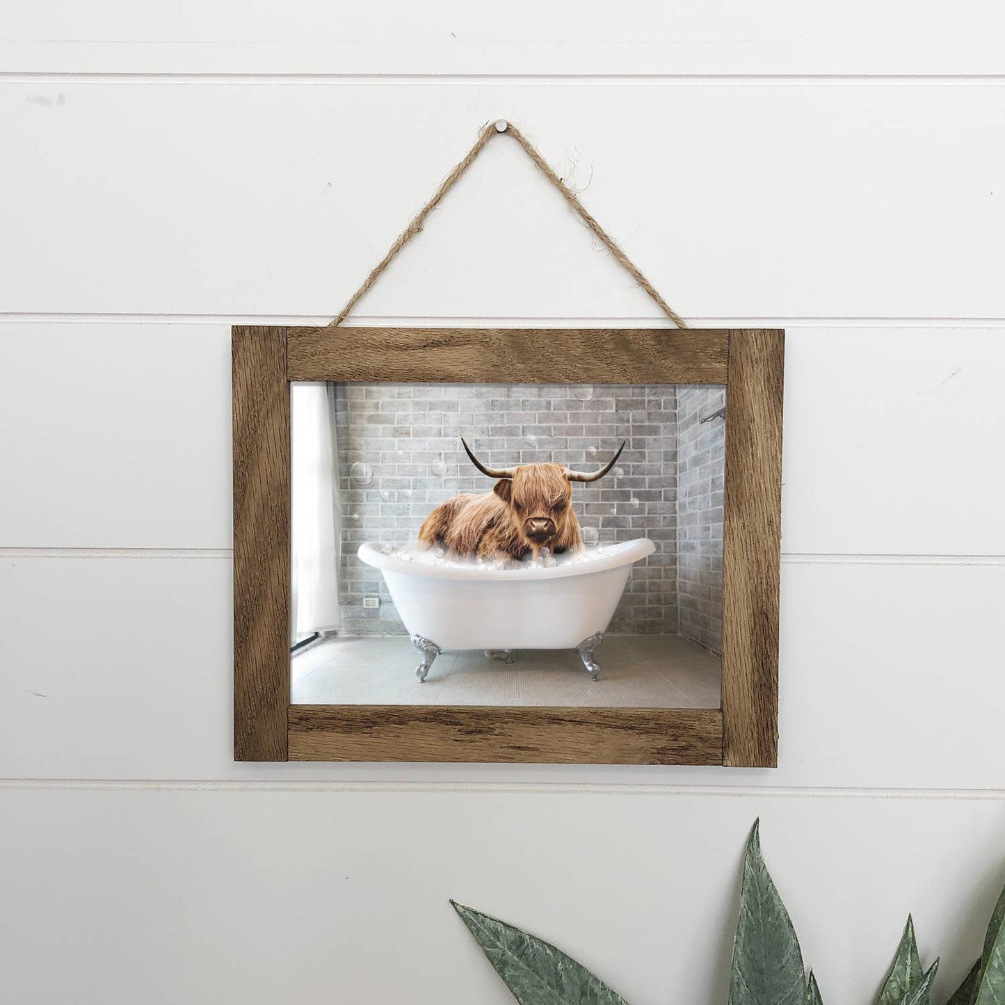 Highland Cow in Bathtub Canvas Wall Art