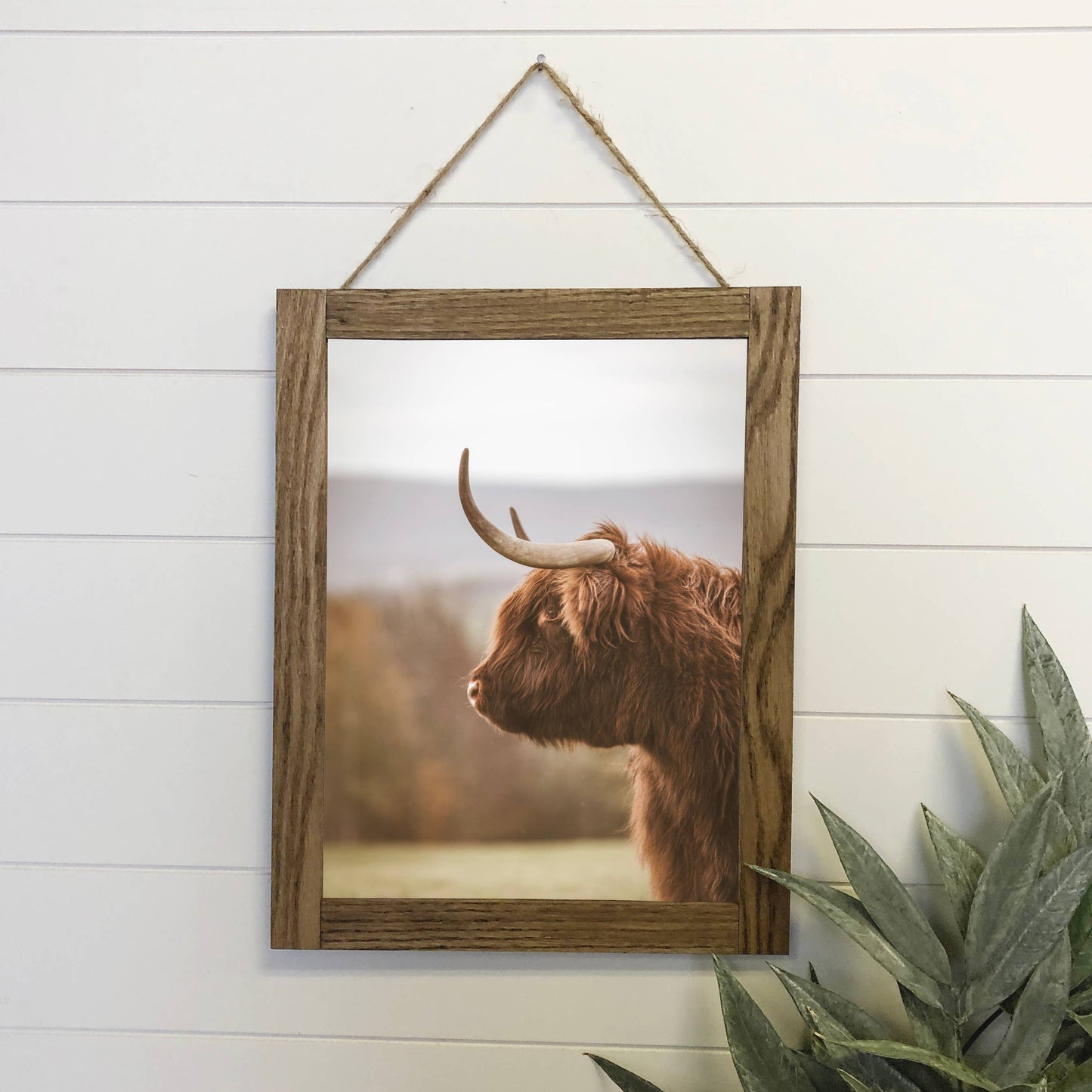 Highland Cow Canvas Wall Art