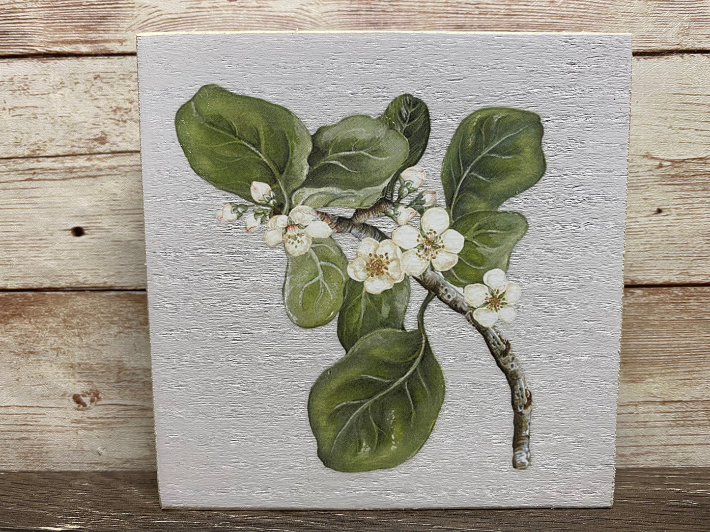 Eastern Mayhaw Wood Sign
