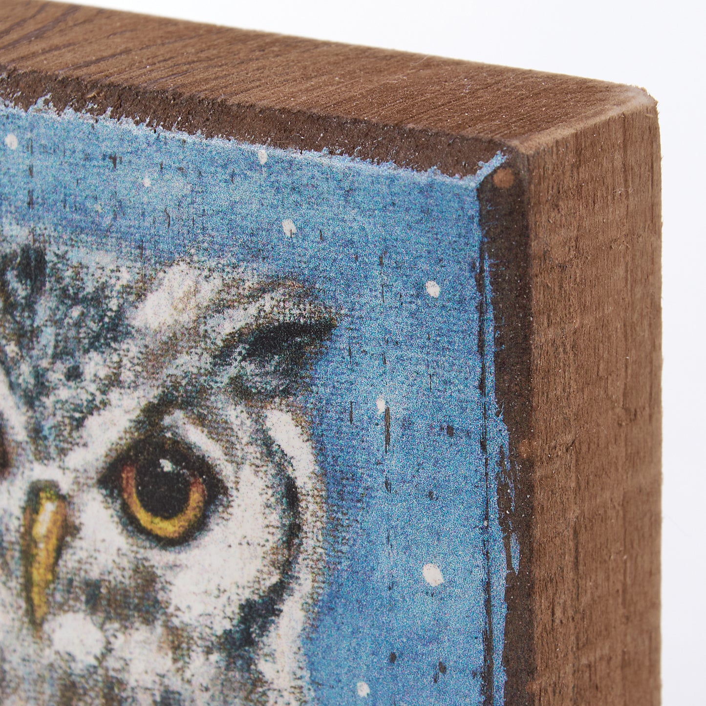 Woodland Owl Block Sign