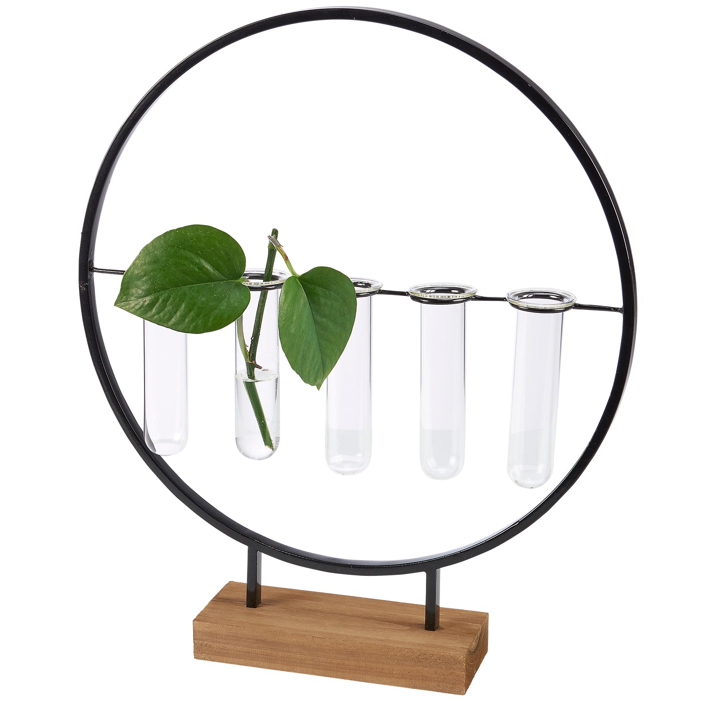 Five Stemmed Test Tube Vase