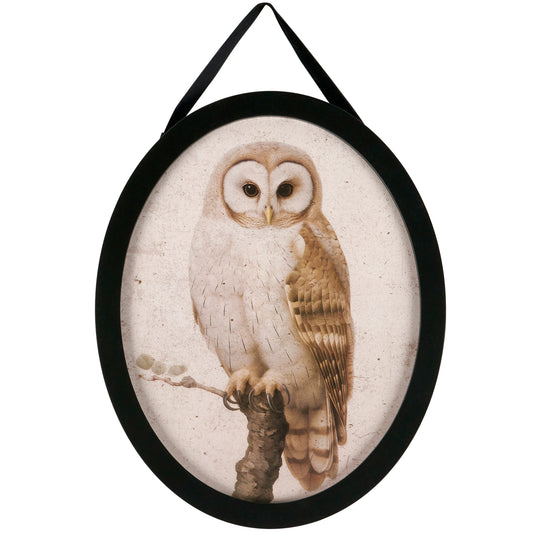 Owl Hanging Decor