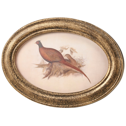 Pheasant Framed Art