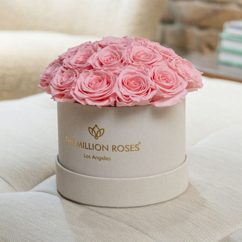 Classic Beige Suede Dome Box | Light Pink Roses  (Online Exclusive)