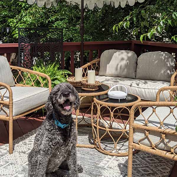 Hand-Woven Rattan & Mango Wood Live Edge Bowl, Set of 2 (Online Exclusive)