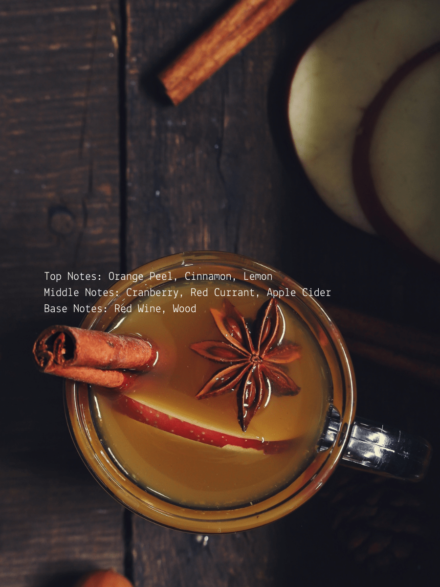 Cranberry Orange + Cider Fall Wellness Candle  (online exclusive)