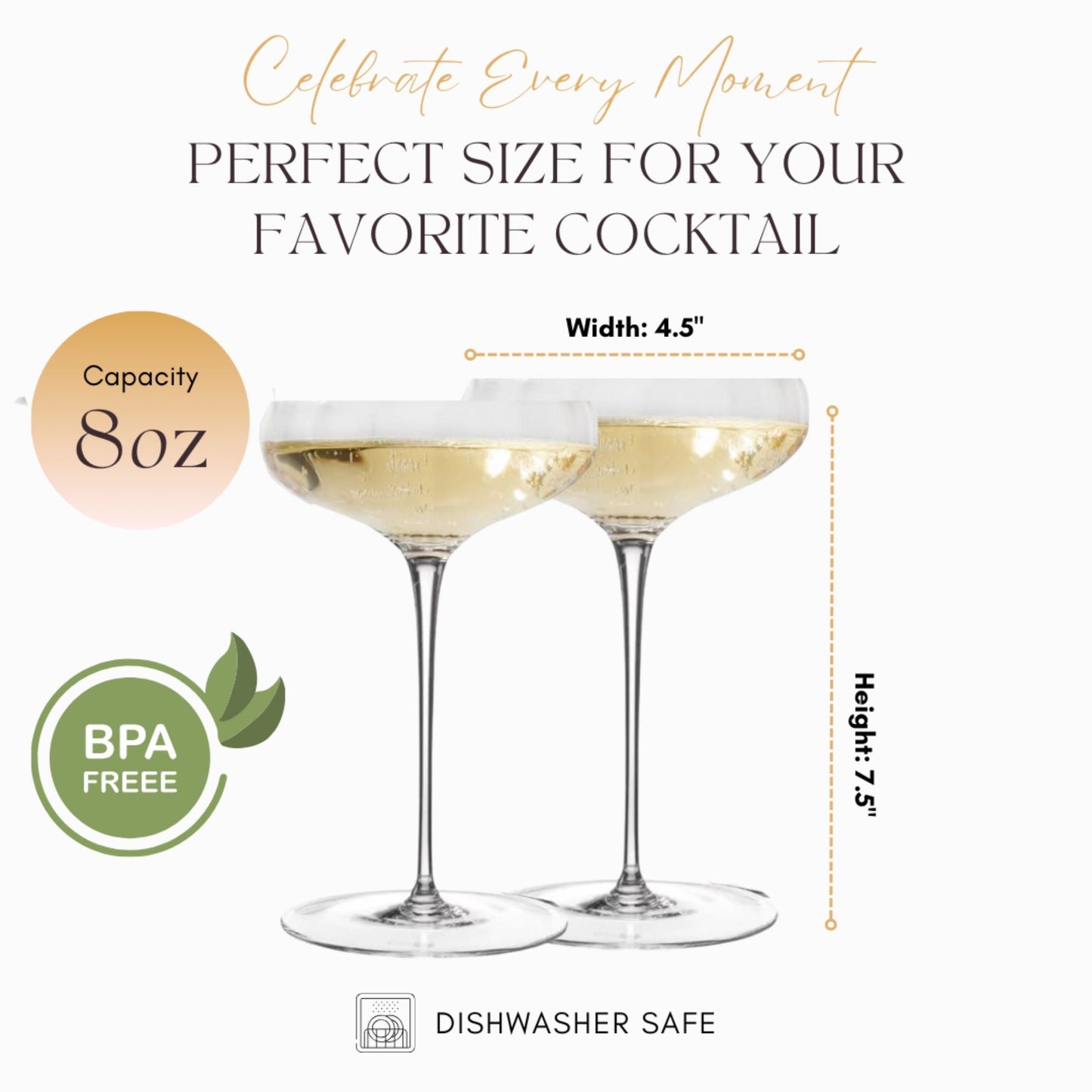 Rounded Coupe Glasses (Online Exclusive)