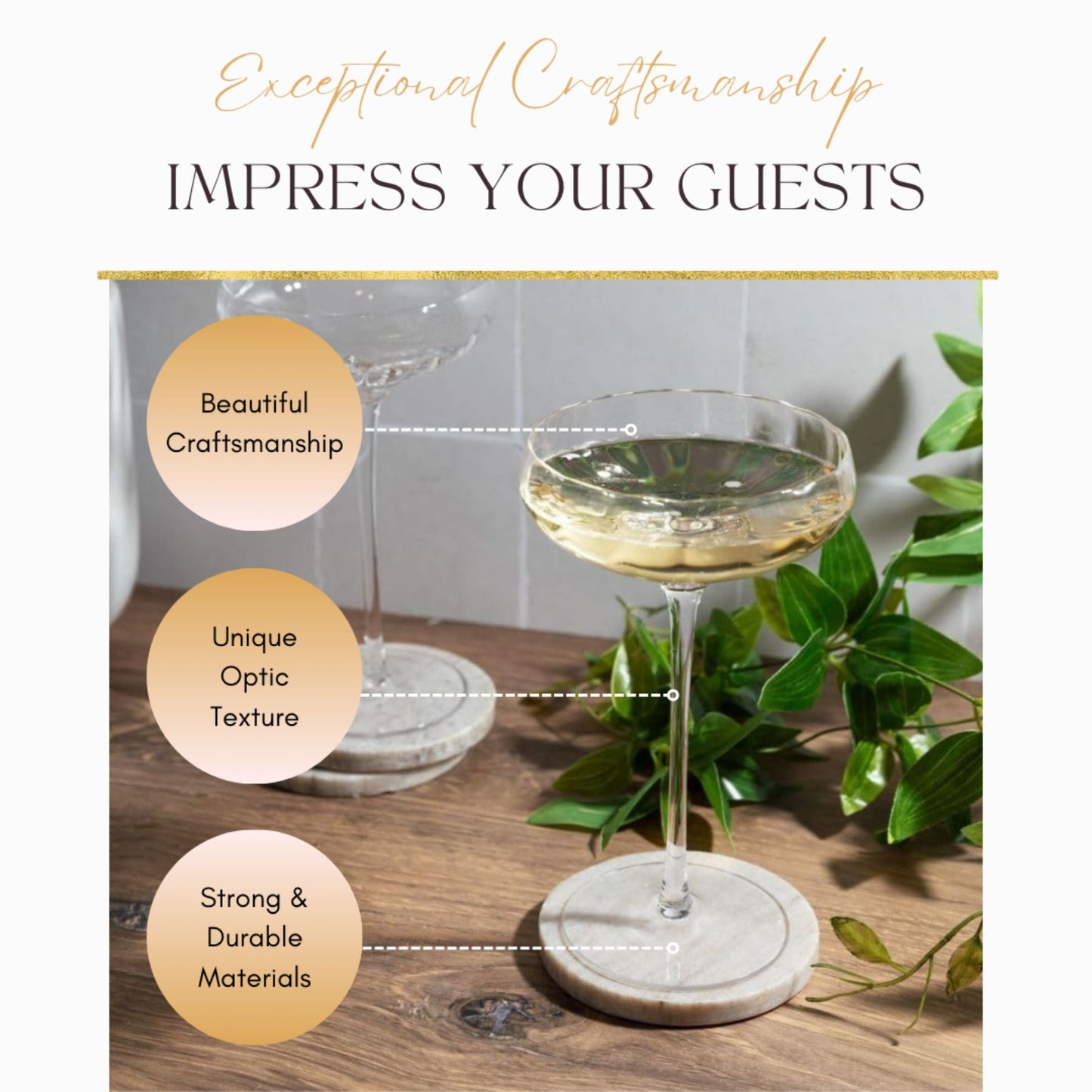 Rounded Coupe Glasses (Online Exclusive)