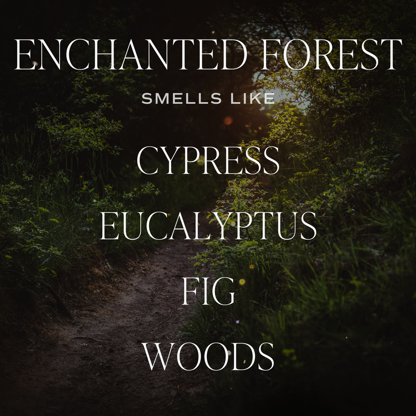 Enchanted Forest Candle