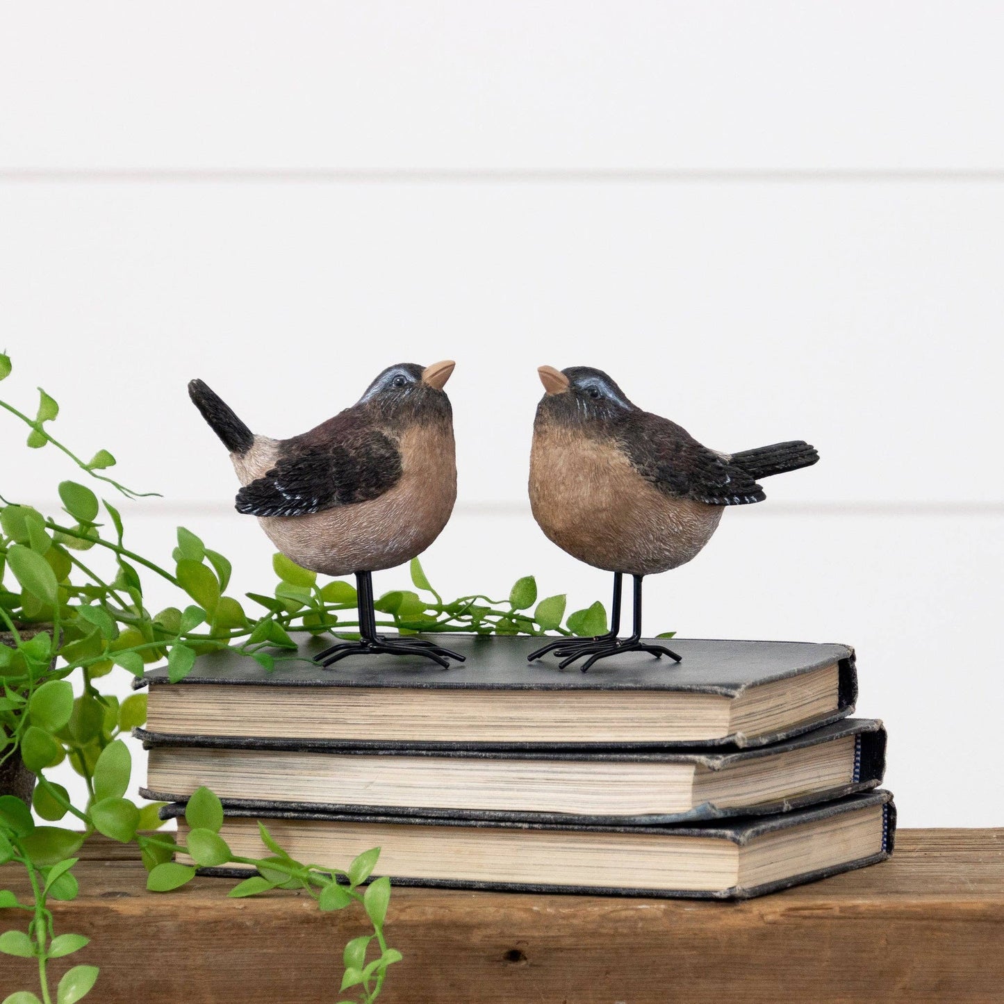 Birds With Metal Feet