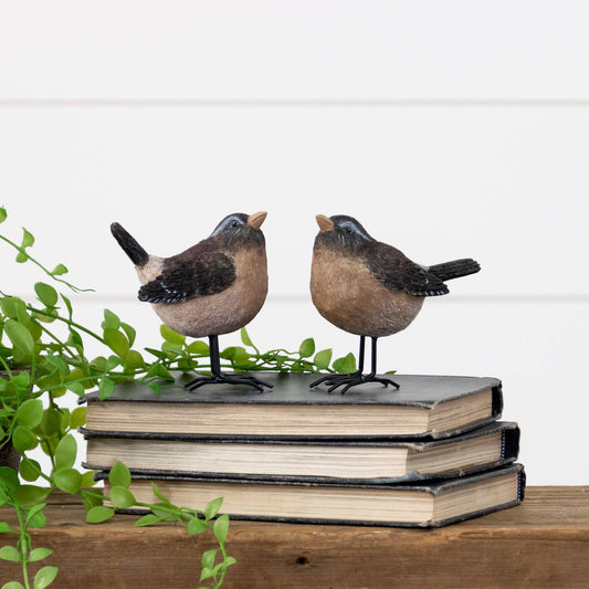 Birds With Metal Feet